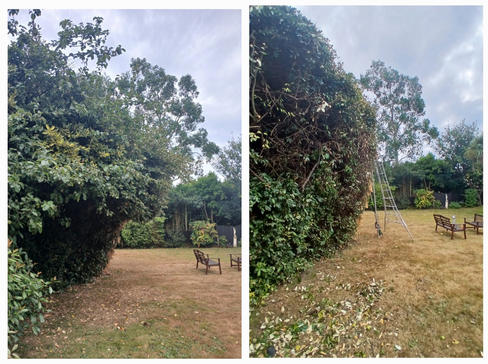 Worthing Gardening project photo 2 in Worthing